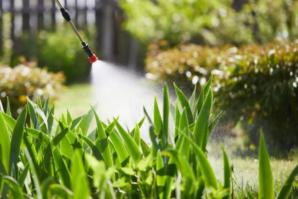 24/7 Emergency Fumigation Services experts in Aberdeen, SD